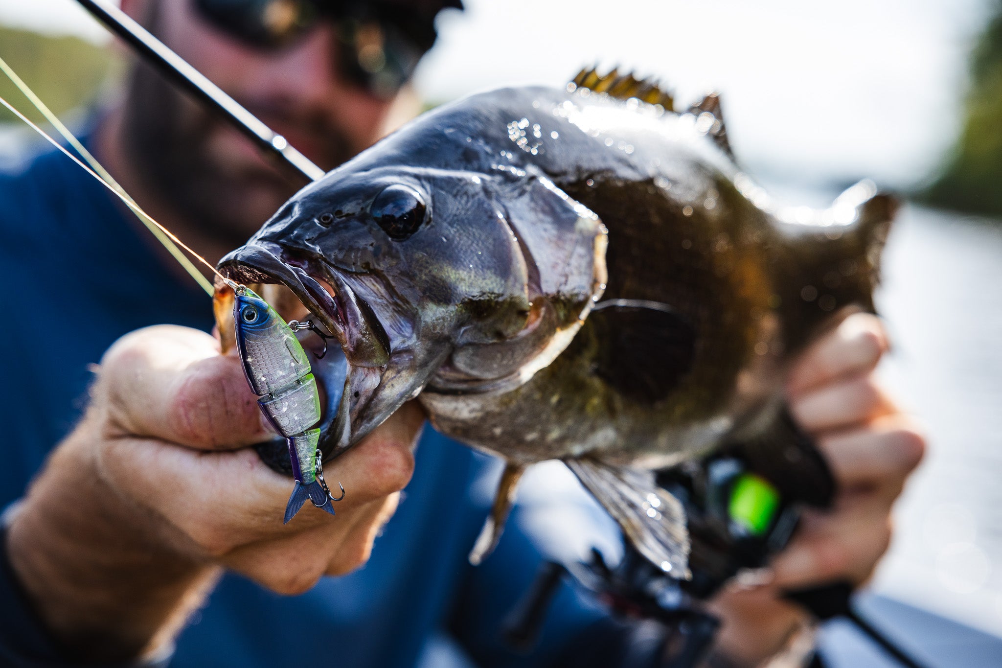 Swimbait Fishing