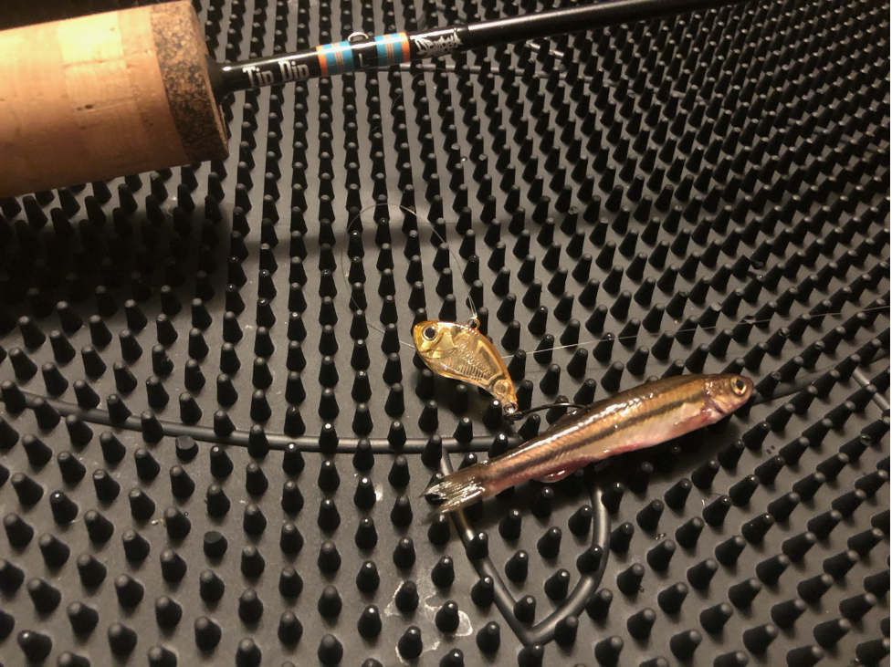 dead stick walleye ice fishing lures Nation Creations Death Jig Rig The ultimate bait when searching for walleye with livescope Top Ice Fishing Baits for