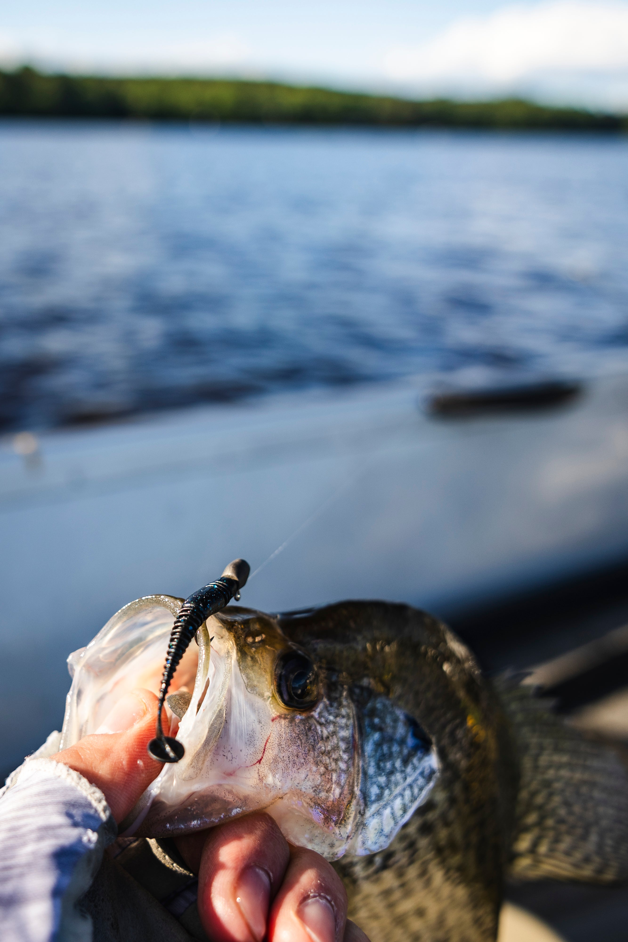 Springtime Crappies - Top Baits and Tactics