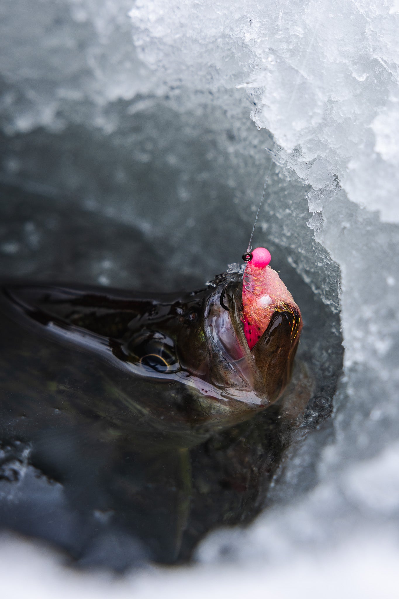 Basin Crappie Basics
