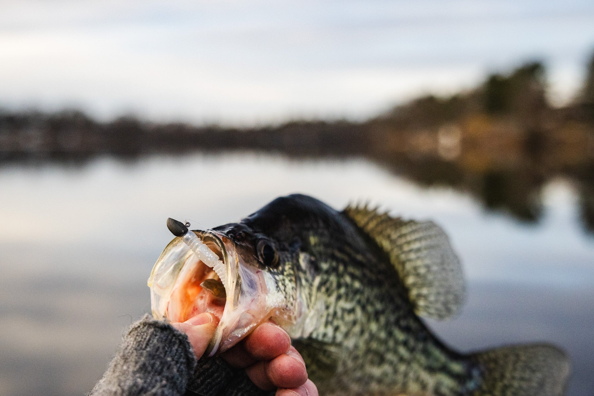 Spring Crappie Fishing - The Tools for Success