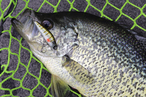 Summertime Crappie Fishing