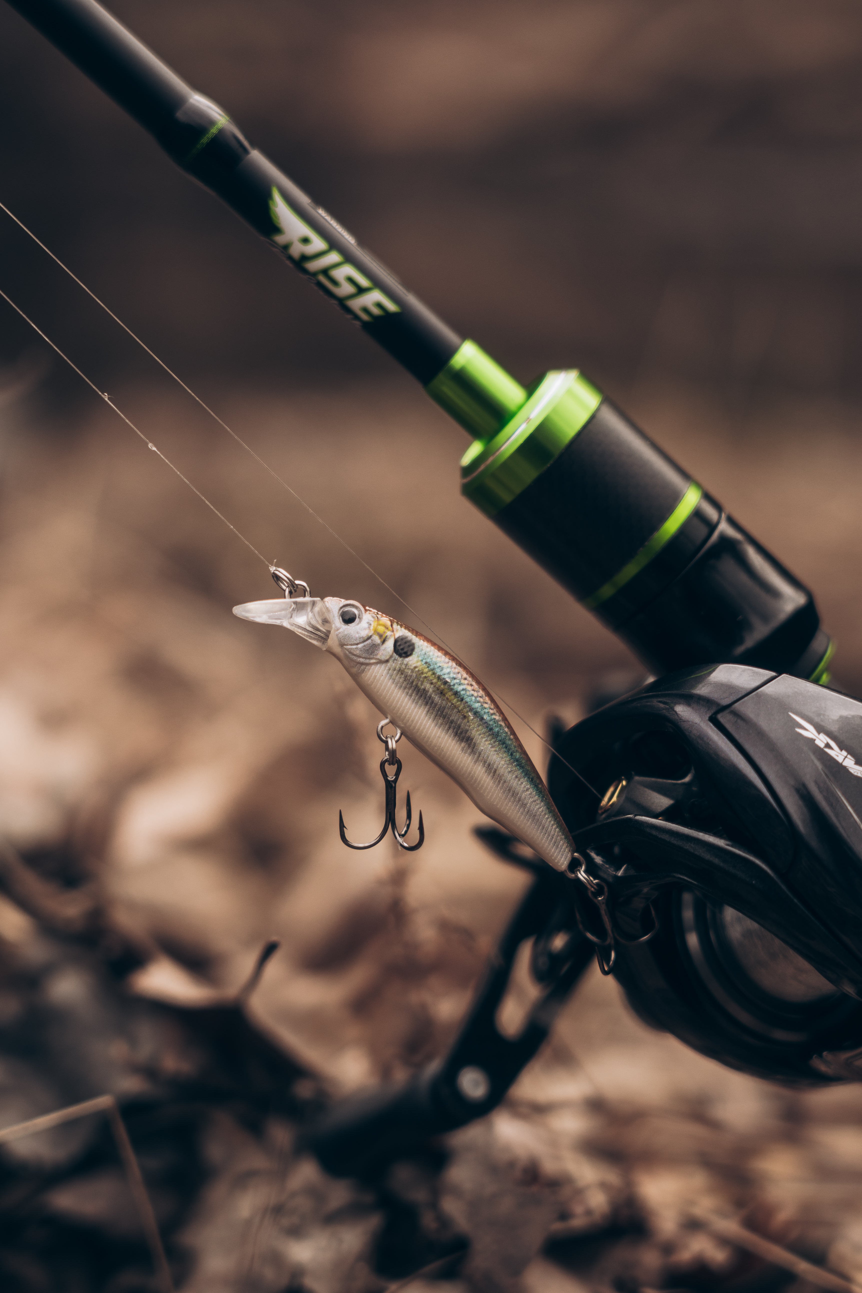 BFS Fishing: The Basics
