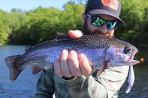 Early Season Stream Trout