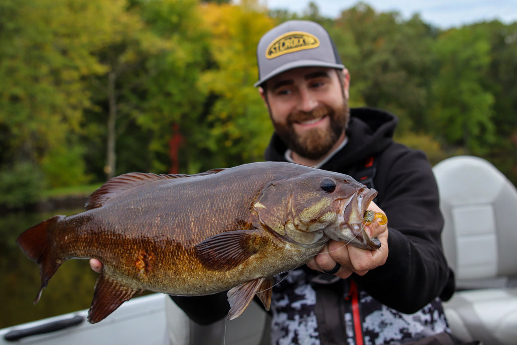 Micro Finesse Bass Fishing – The Must Have Baits