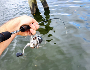 What's next for Micro Finesse? – Eurotackle