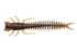 Hellgrammite 3"
