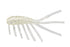 Eurotackle Gamma Scud 1"