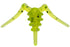 Plankton 0.5"
