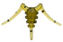 Plankton 0.5"